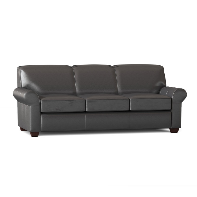 Lark Manor Rasberry 81'' Leather Sleeper Sofa Lark Manor Rasberry 81'' Leather Sleeper Sofa